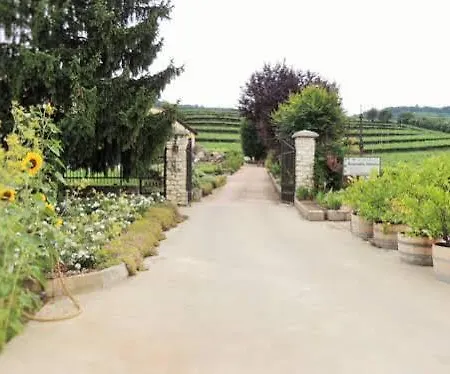 Mattielli * Soave (Verona)